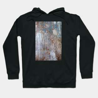 Old painted metal Hoodie